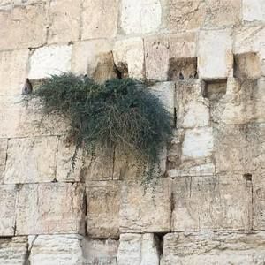 Meet your Posher, Alice